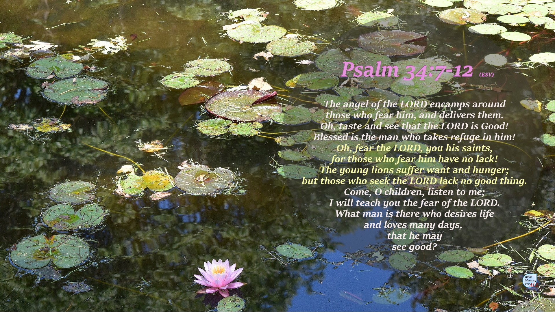 34 псалом 40 раз. Псалом 34. Псалом 34 картинки. Псалом 34:10.
